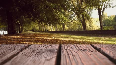 wooden deck with a view of park trees