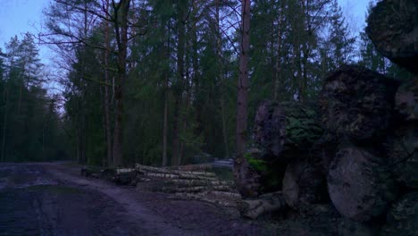 Nato-leopard-tank-hidden-in-the-bushes-and-chopped-wood-during-early-morning