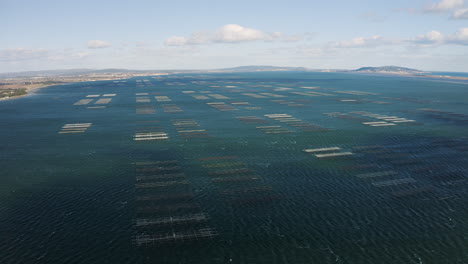 vista aérea sobre los interminables lechos de ostras cría de mariscos en la cuenca de thau