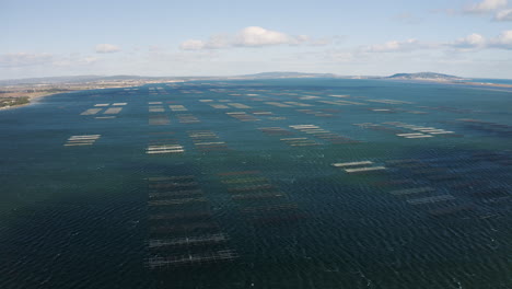 aerial view over endless oysters beds shellfish farming in the bassin de thau