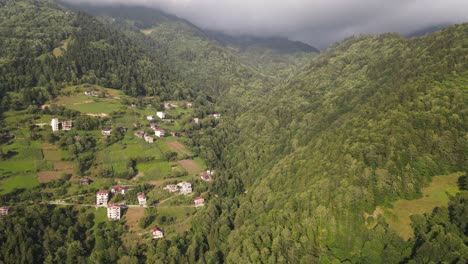 vista de drones de bosques y pueblos en las altas montañas del mar negro, cielo nublado