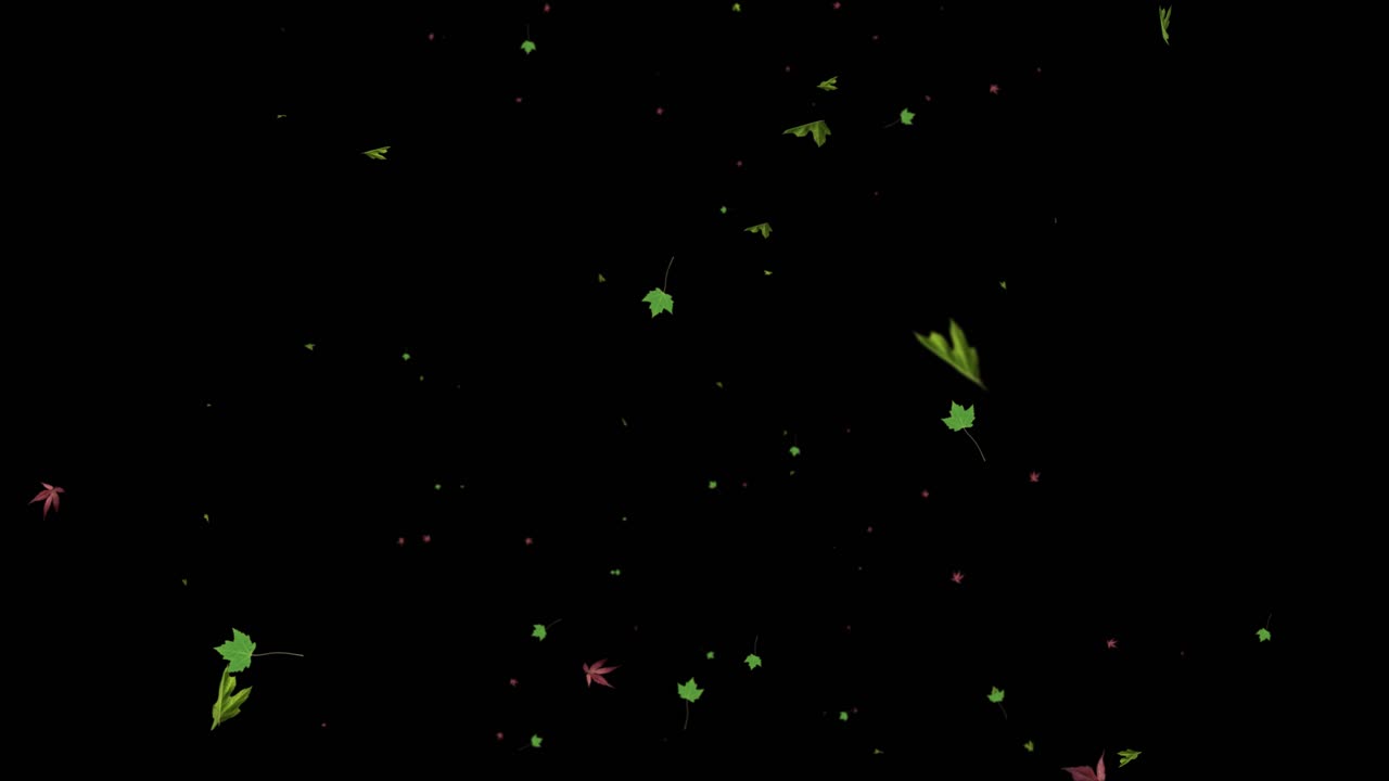 단풍, 비, 눈, 햇빛 - 검정색의 4가지 루프 애니메이션 - 알파 - 루프 가능 - 4k