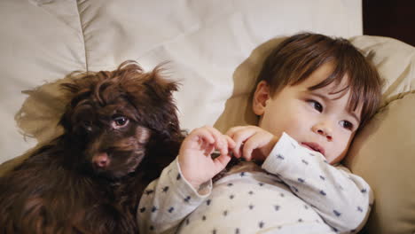 Portrait-of-a-Chinese-kid-of-two-years-old,-watching-TV-with-a-puppy