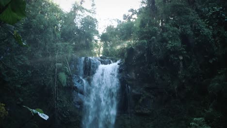 walking towards a waterfall in a rainforest