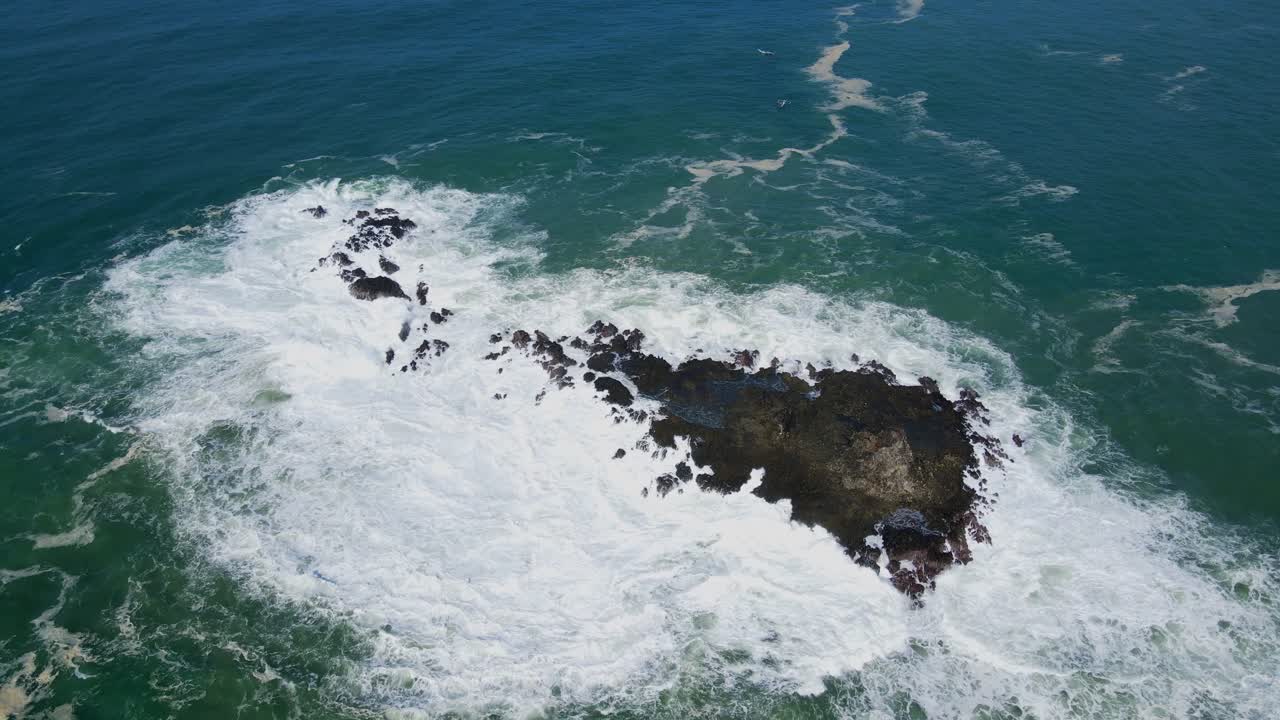 disparo aéreo de arriba hacia abajo de olas gigantes chocando contra la roca de coral a la luz del sol