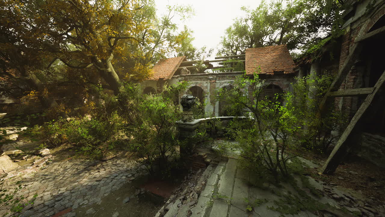 Abandoned courtyard overgrown with plants and trees bathed in soft sunlight