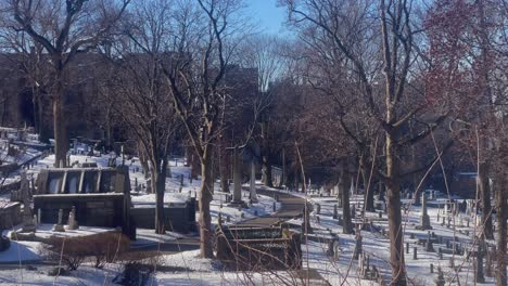 cemetery on sunny, snowy day