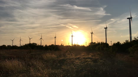 low angle view of golden sun illuminating wind turbines from behind