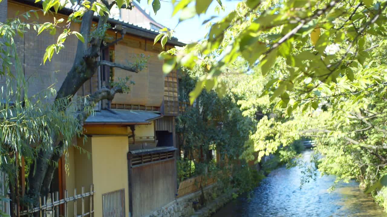 京都の伝統的な日本家屋の間を流れる川の上の緑の葉、日本ソフト照明スローモーション 4 k
