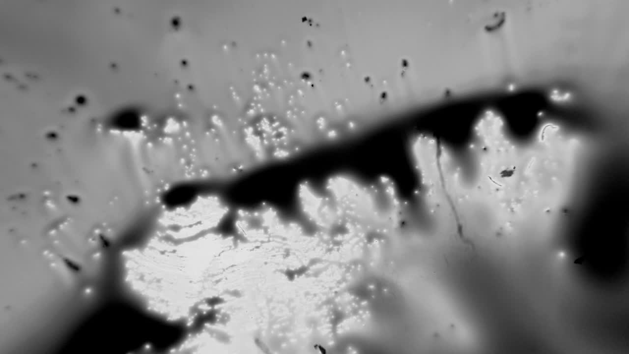 Mouvement fluide dynamique abstrait noir et blanc