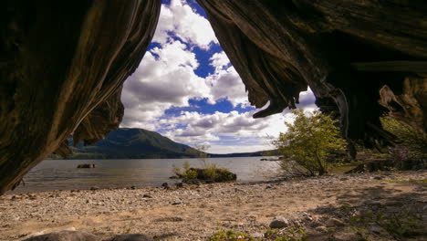 timelapse of a beach and active clouds looking out from under and old stump