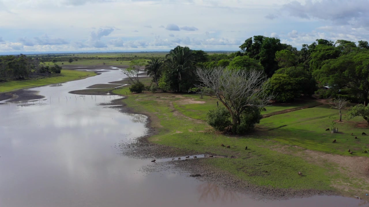Dolly left aerial gliding past a shallow wetland lagoon in Orinoquia, Colombia, reflecting the seasonal rhythm of low water and rich wildlife in the Llanos.
