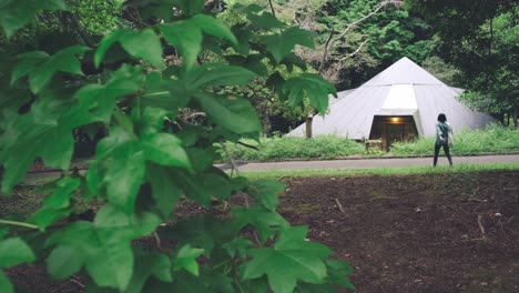 Joven-Mujer-Asiática-Caminando-Hacia-La-Tienda-Rodeada-Por-Los-Frondosos-árboles-En-El-Bosque-En-La-Posada-El-Sitio-De-Glamping-Del-Parque-En-Numazu,-Shizuoka,-Japón