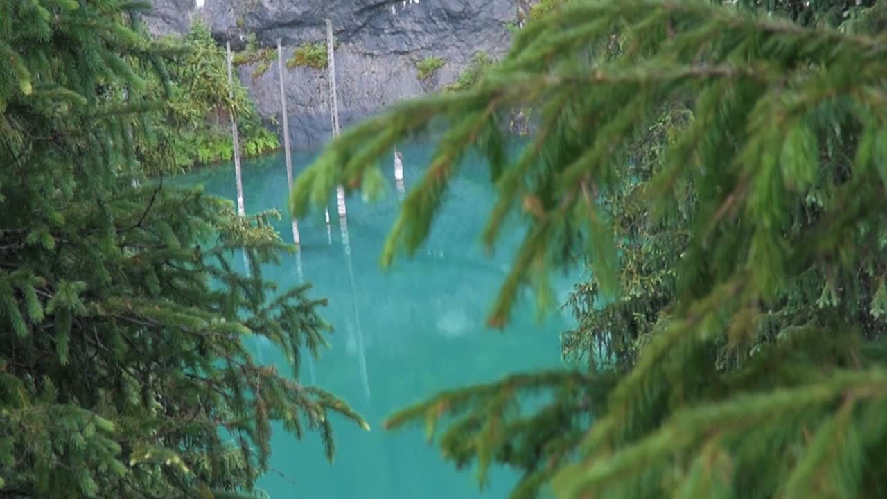 자작 나무 호수 또는 수중 숲으로도 알려진 카자흐스탄의 kaindy 호수