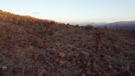 Trockene-Karoo-Farmlandschaft-Mit-Graaff-Reinet-Am-Horizont