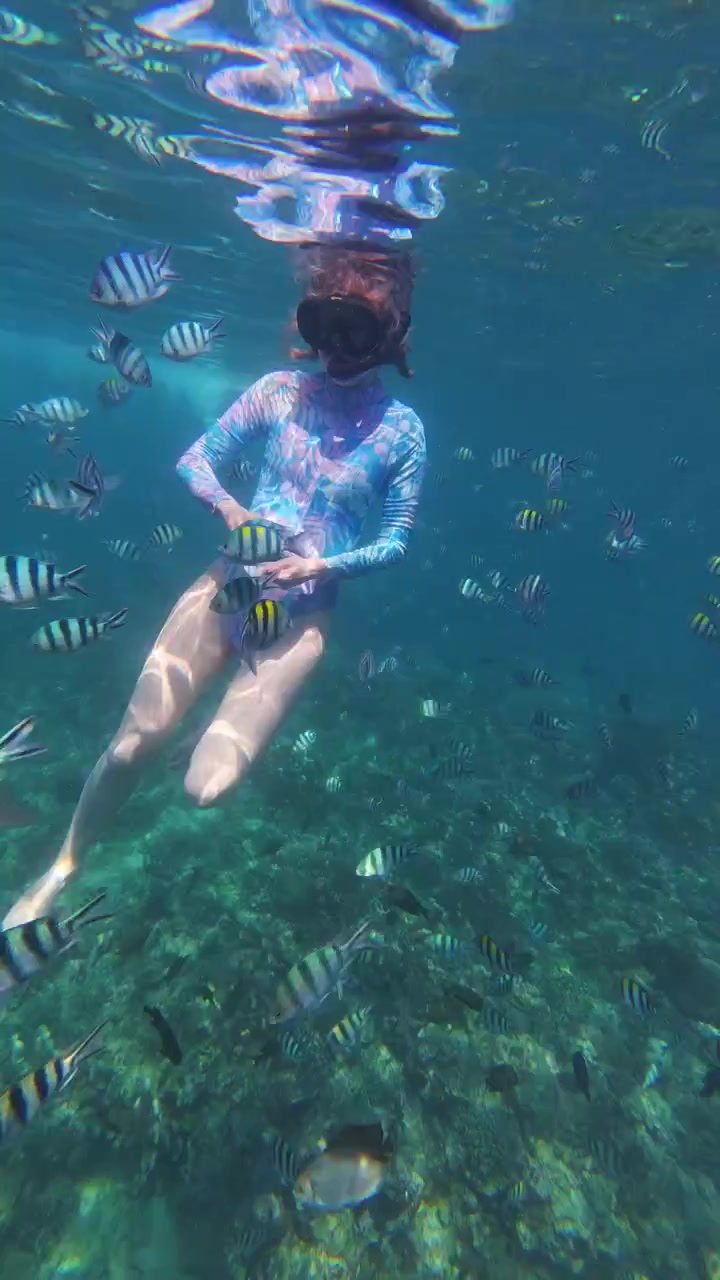 Lovina, Bali, Indonesien, kvinde snorkler over koralrev omgivet af tropiske fisk i klart blåt vand, hav og eventyr.
