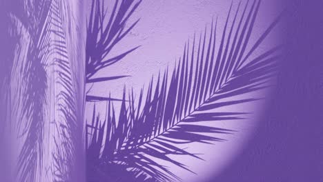 a-palm-leaves-shadow-on-purple-background-wall-with-copy-space