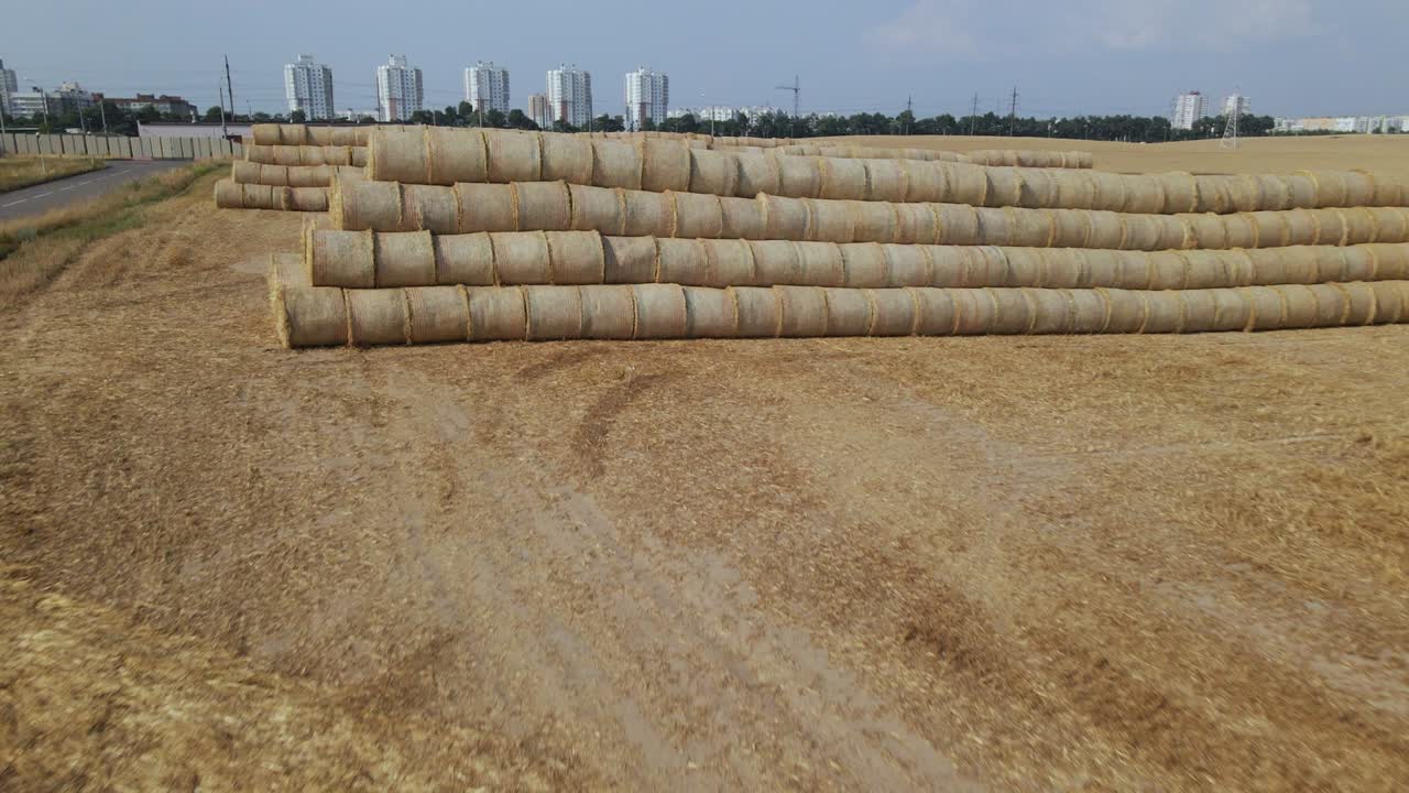 campo de grano cosechado. la paja se recoge en un rollo y se apila en una pirámide en pilas. fotografía aérea.