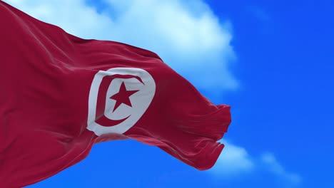 seamless loop of tunisia flag.