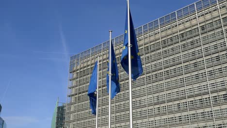 slomo european flag waving in wind