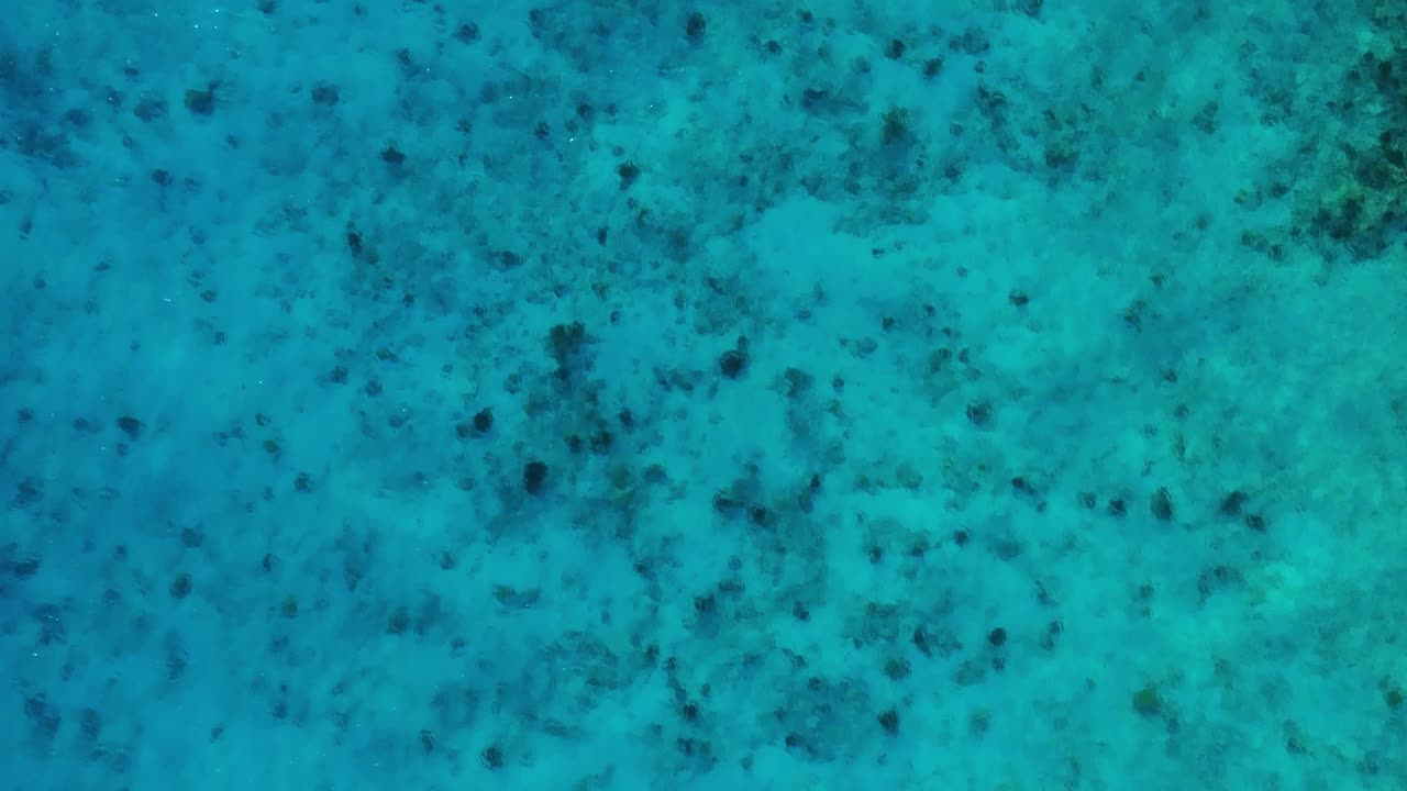 Crystal clear turquoise Caribbean sea water, sunny day light rays on coral, drone top down