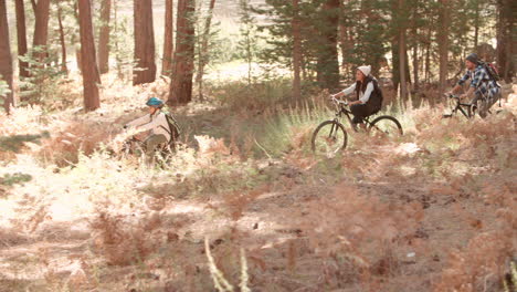 Padres-E-Hijo-En-Bicicleta-Juntos-En-Un-Bosque,-Vista-Lateral