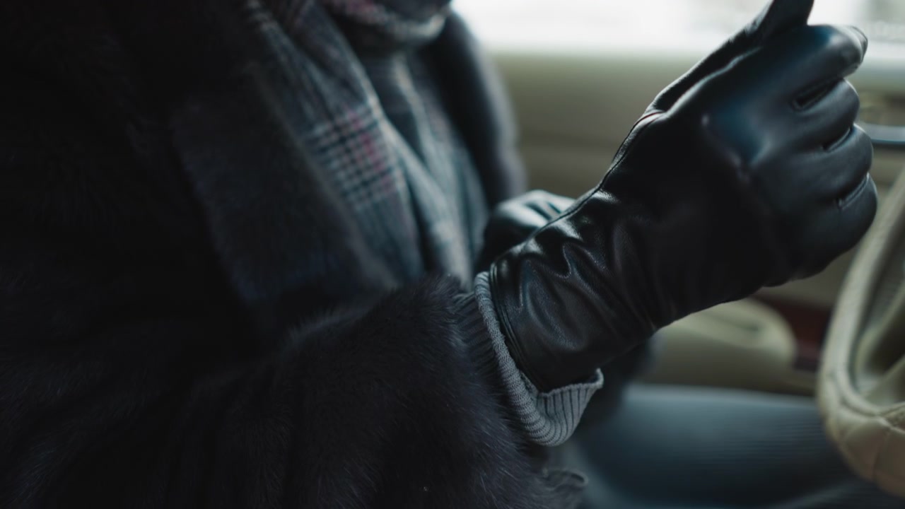 Primo piano di una donna che indossa guanti di pelle neri, con un cappotto scuro e una sciarpa a quadri, all'interno di un veicolo. La scena mostra i dettagli della texture delle mani guantate contro una morbida illuminazione interna con luce naturale.