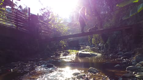 Vuela-Sobre-Un-Río-En-El-Bosque-De-Hircanian-Maravilloso-Paisaje-De-Bosques-Naturales-Aventura-En-La-Naturaleza-Escénica-Mujer-Caminando-En-El-Antiguo-Puente-De-La-Región-Rural-Juega-Con-Un-Lindo-Perro-Animal-En-Irán-Puesta-De-Sol-Mágica-De-Ensueño