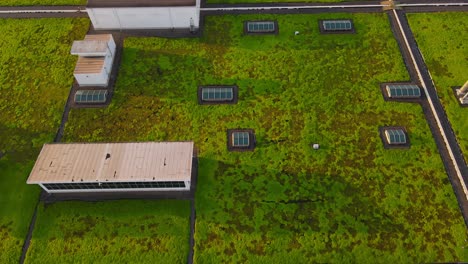 green mossy rooftop of modern ford motors company building rooftop, aerial view