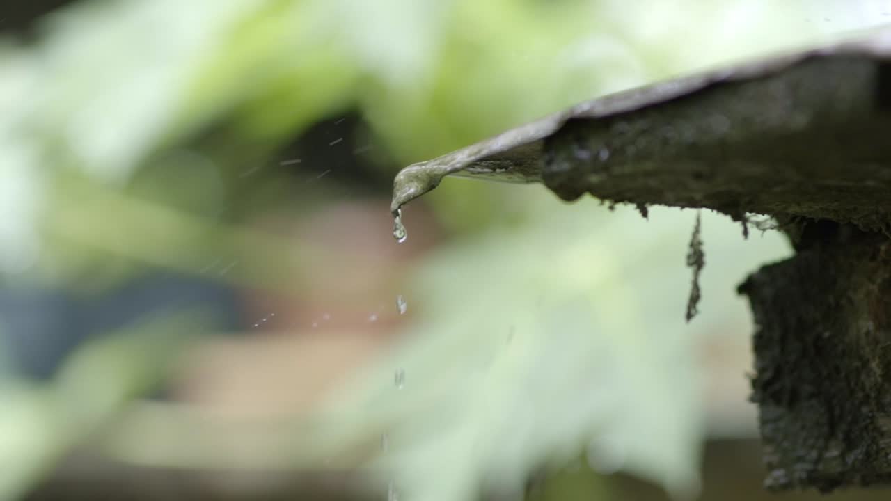 Raindrops falling off metal pointy roof with moss and mold