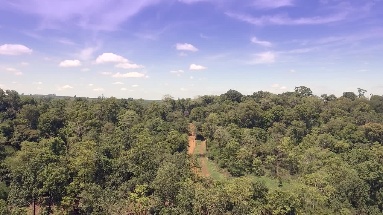 colpo aereo di drone: volare sopra la foresta pluviale