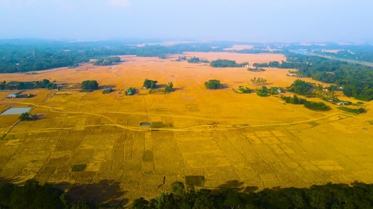 Aerial elevated view of beautiful Bangladesh with golden farmland