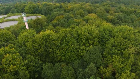 Aufschlussreiche-Drohnenaufnahme-Eines-Wachturms-Im-Wald-4k