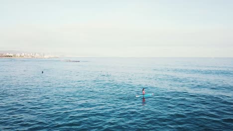 stand-up paddleboarding en la costa