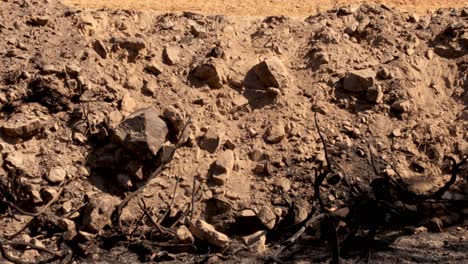 man in black sneakers walks and slips on rocky dry terrain on sunny day