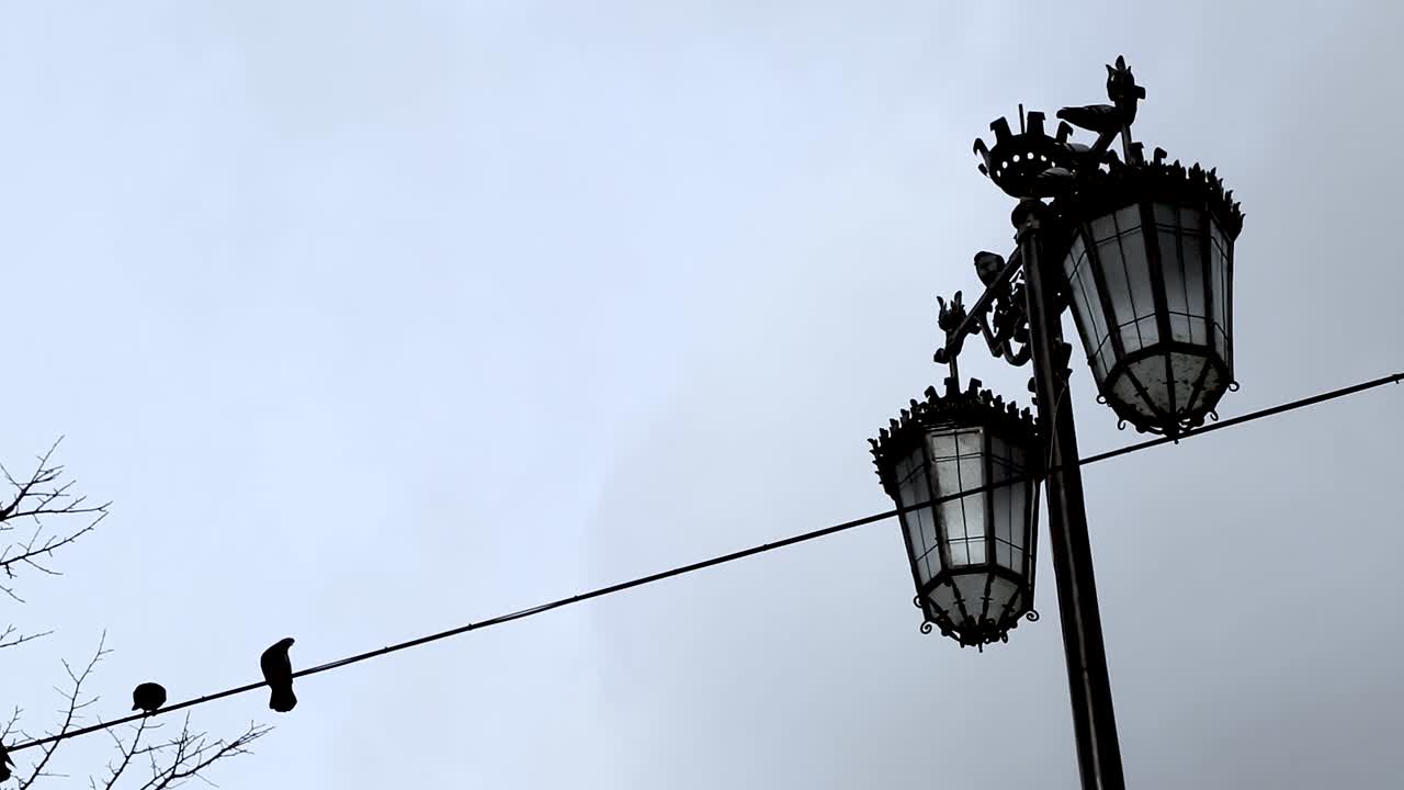 Street lamp in the center of Lisbon, Portugal.