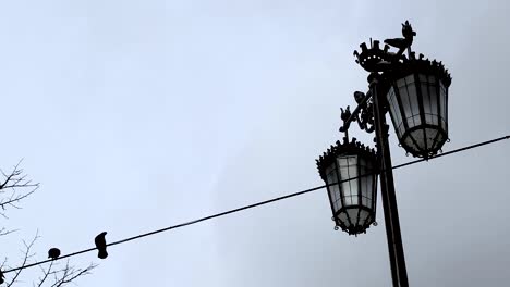 street lamp in the center of lisbon, portugal.