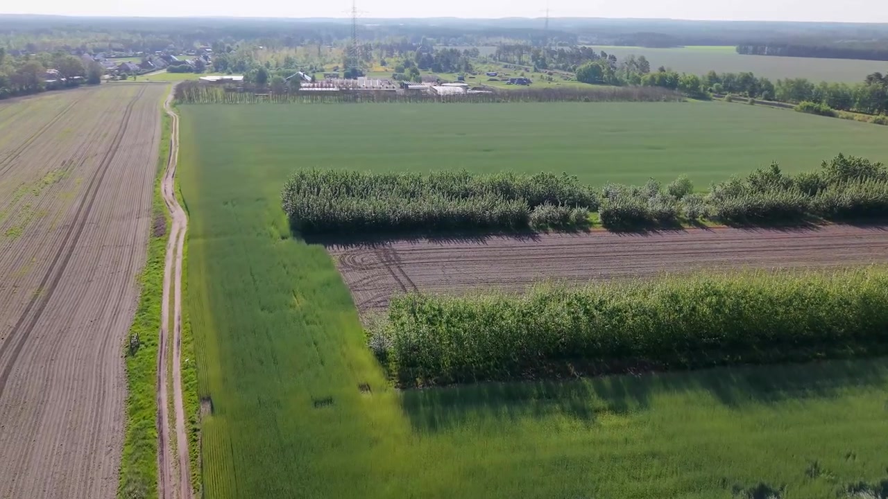 Video drone merekam jalan pedesaan di samping tata letak lahan agroforestri dan tumpang sari lorong yang ramah lingkungan.