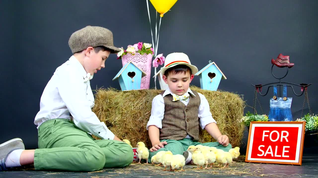 두 마을, 스타일리시하게 옷을 입은 소년들이 오리 새끼와 과 함께 놀고, 배경에는 풀, 다채로운 새 집, 풍선과 꽃이 있습니다.