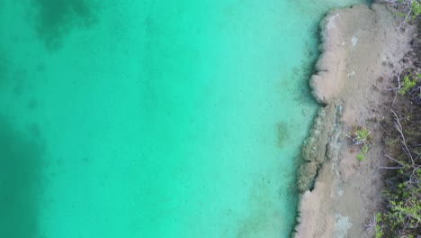 top down aerial view, turquoise water and scenic coast of cenote in bacalar lake region, quintana roo, mexico, high angle drone shot