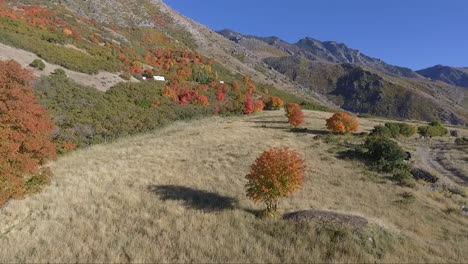 A-drone-captures-aerial-footage-of-an-alpine-meadow-in-the-fall-as-tree-leaves-change-color-into-brilliant-reds-and-yellows