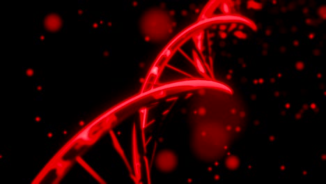 dna spinning rna double helix slow tracking shot closeup depth of field 4k