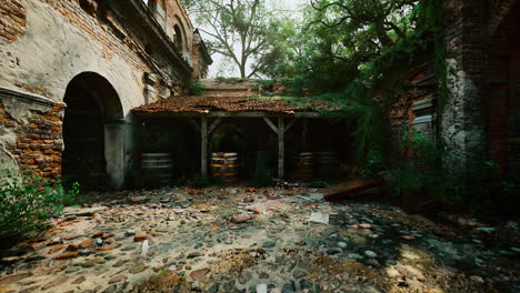 abandoned building overgrown with vegetation