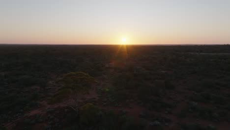 Clip-De-Drone-Del-Amanecer-Temprano-En-La-Mañana-Sobre-El-Interior-De-Australia,-Con-Exuberante-Vegetación-Y-Eucaliptos