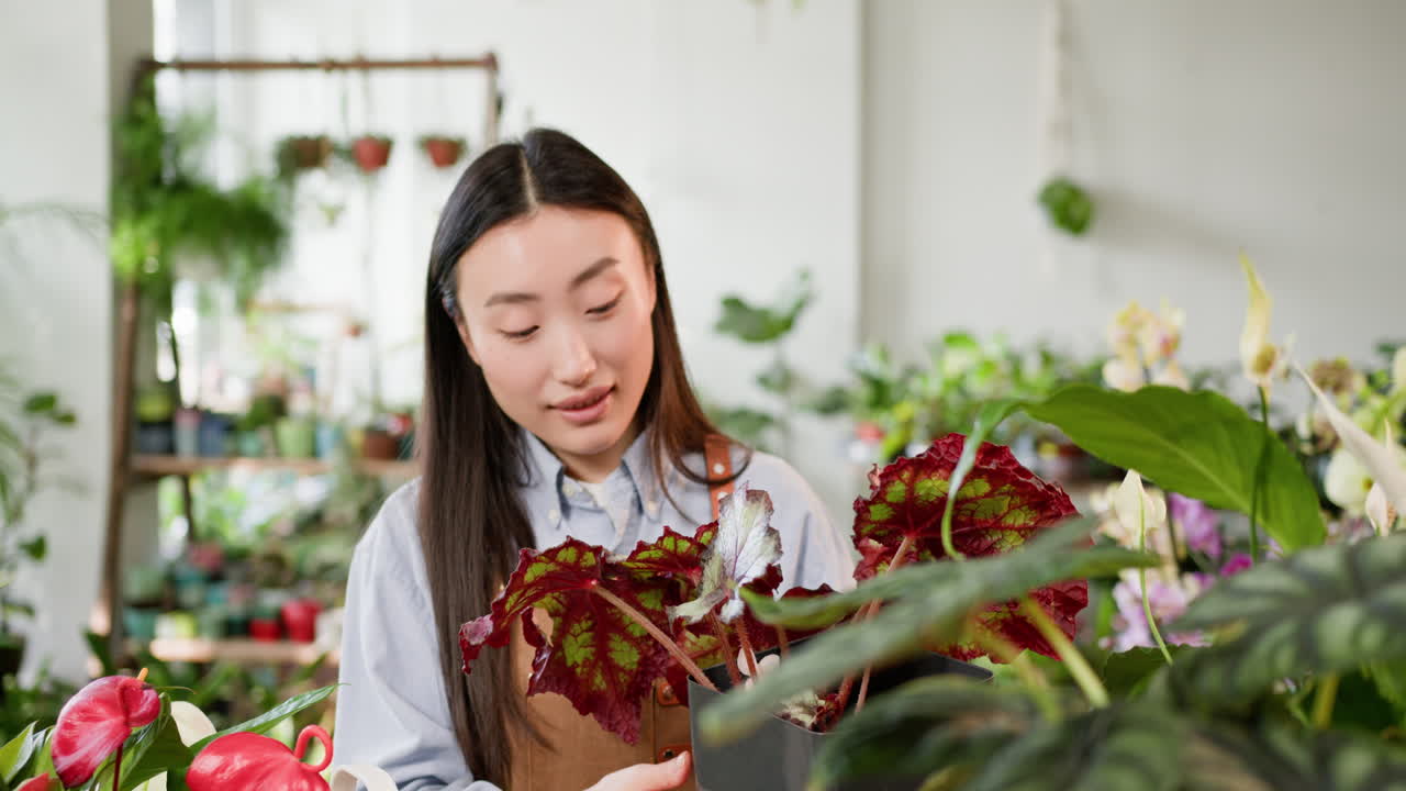 꽃 가게 에서 식물 을 검사 하는 여자