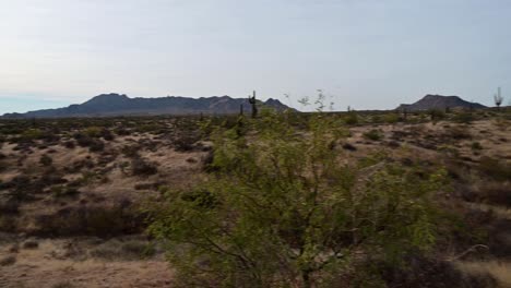 pan shot of phoenix valley desert