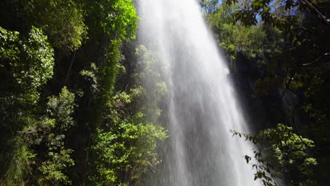 parque nacional springbrook, circuito de caída doble en medio del bosque