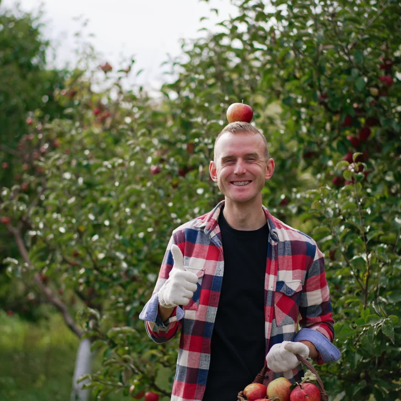 Man with a basket of apples in his hands tossing apple and putting it on his head. Boy in red shirt picking fruit from tree in the garden