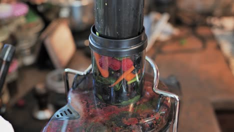 woman presses fresh organic fruits and vegetables through juicer