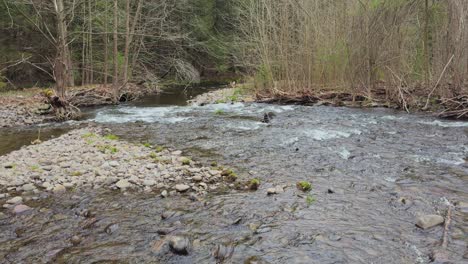 trout fishing stream in the beautiful catskill mountains during spring